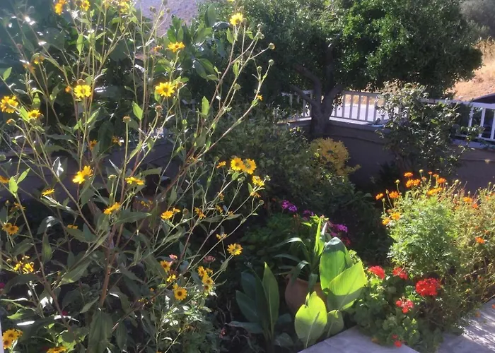 Koumans Residence Akoumia-Triopetra